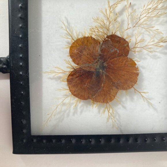 Vintage Wall Hook Pressed Flower in Glass Metal Frame 3.5 x 6" - Picture 3 of 6
